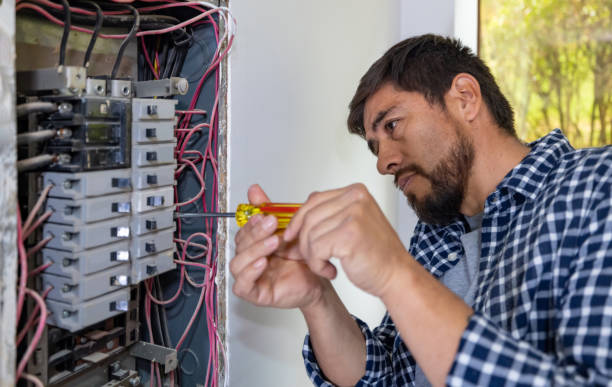 Best Affordable Electrician  in Hazel Crest, IL